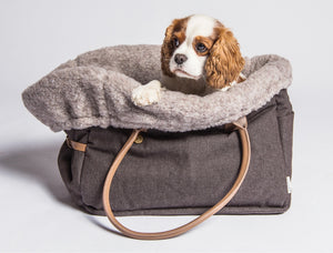 Designer dog carriers
