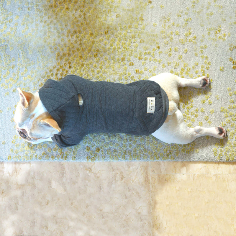 hoody for french bulldogs