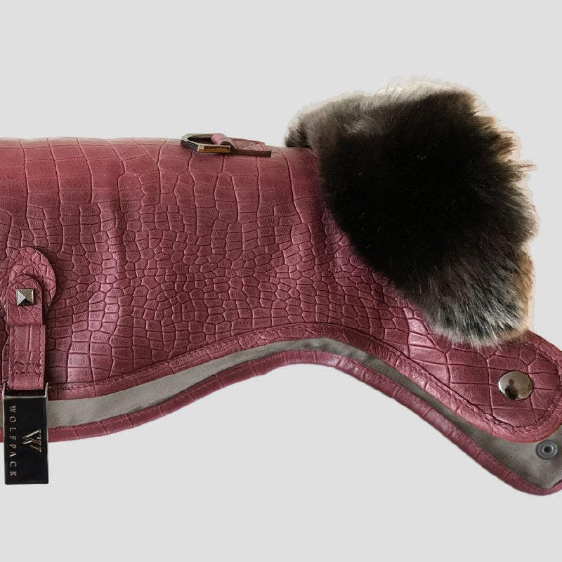 designer leather coat for dogs