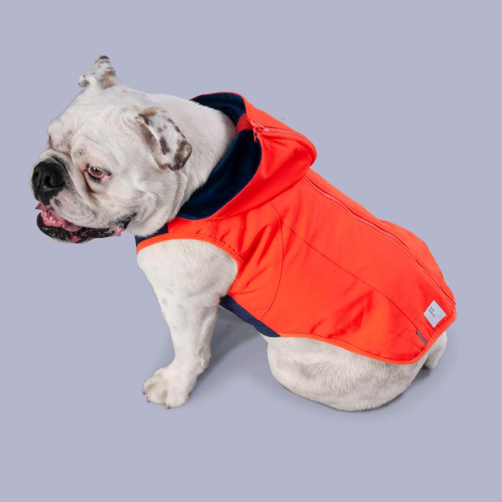 designer red jacket for dogs