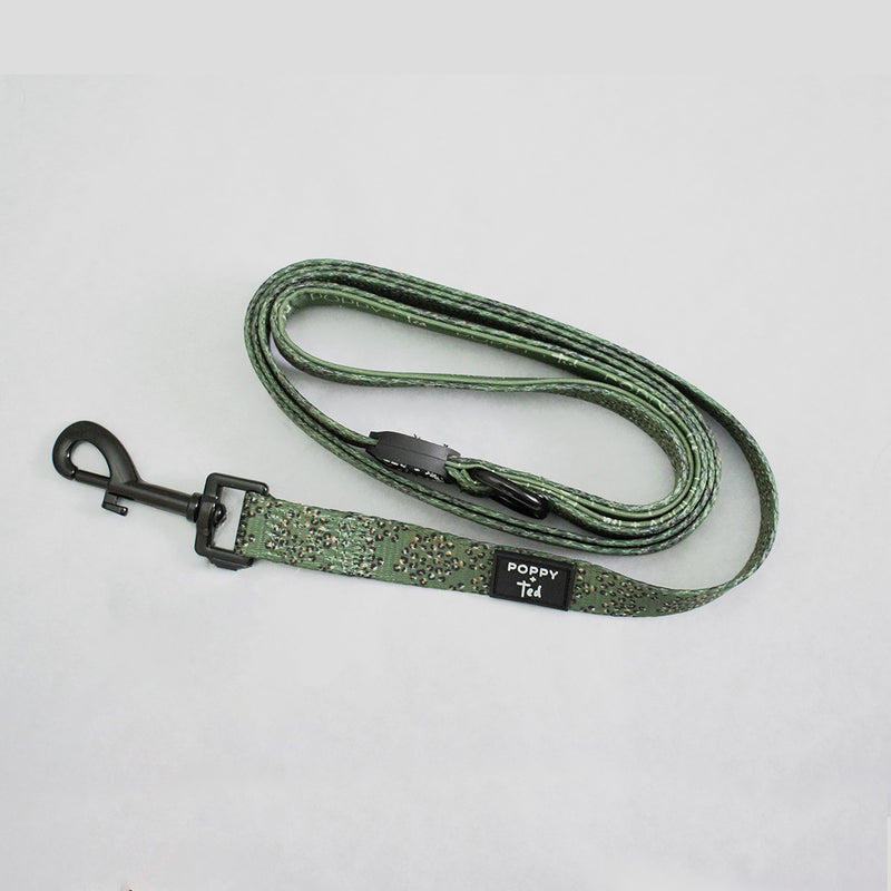 Poppy + Ted Olive Leopard Dog Lead