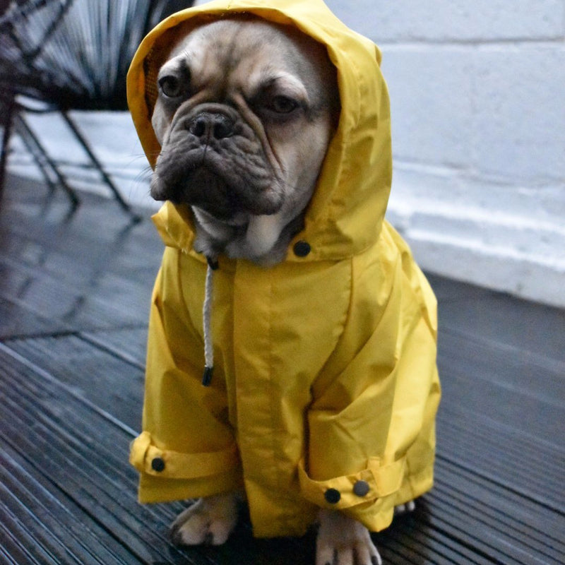 waterproof raincoat for dogs
