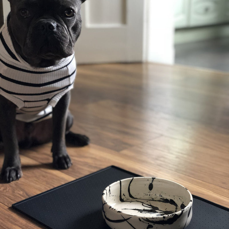 handmade ceramic dog bowl