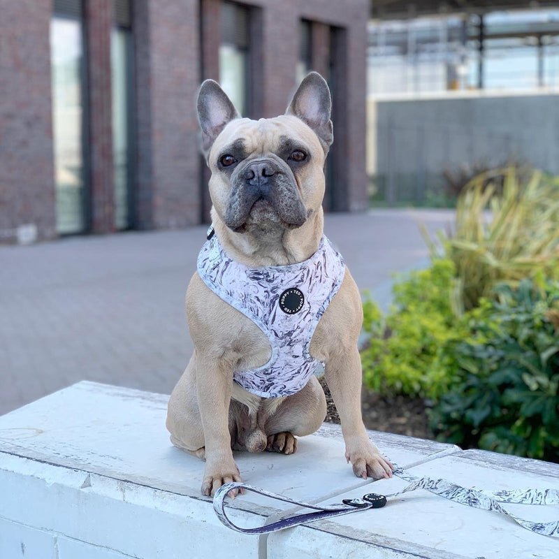Poppy + Ted Marbled Dog Harness