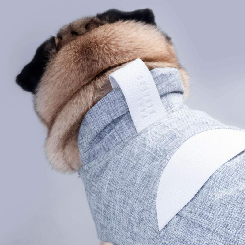 designer dog coat for medium size dogs