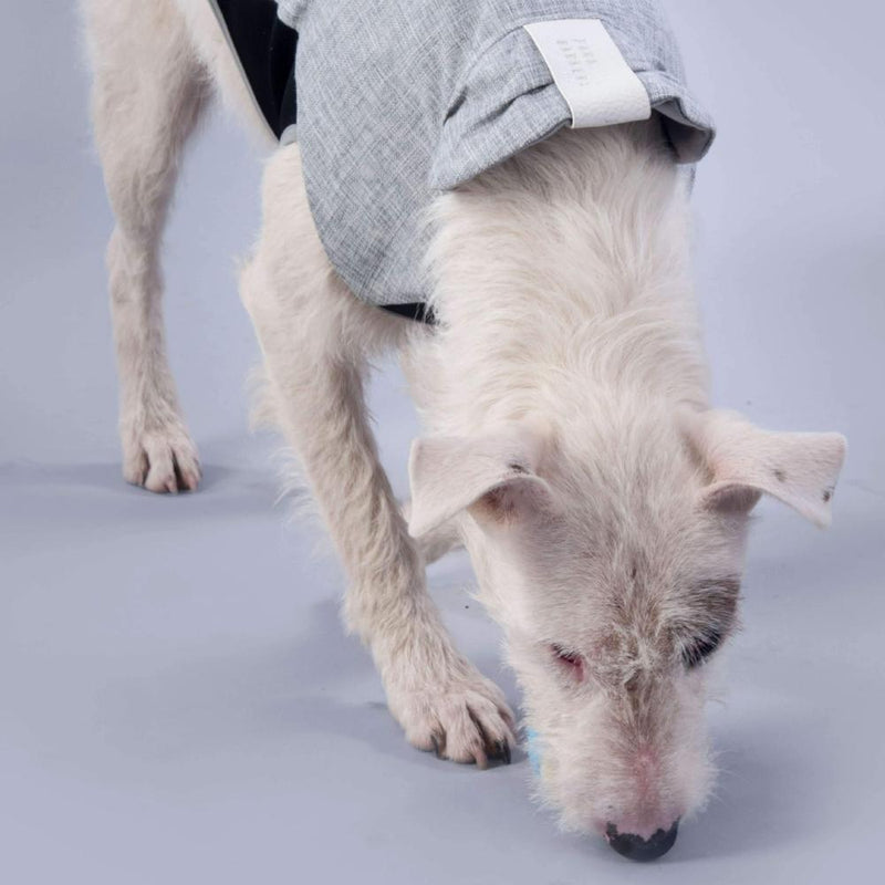 vegan leather dog coat