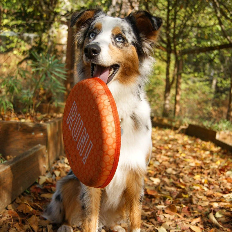 tough frisbee for dogs