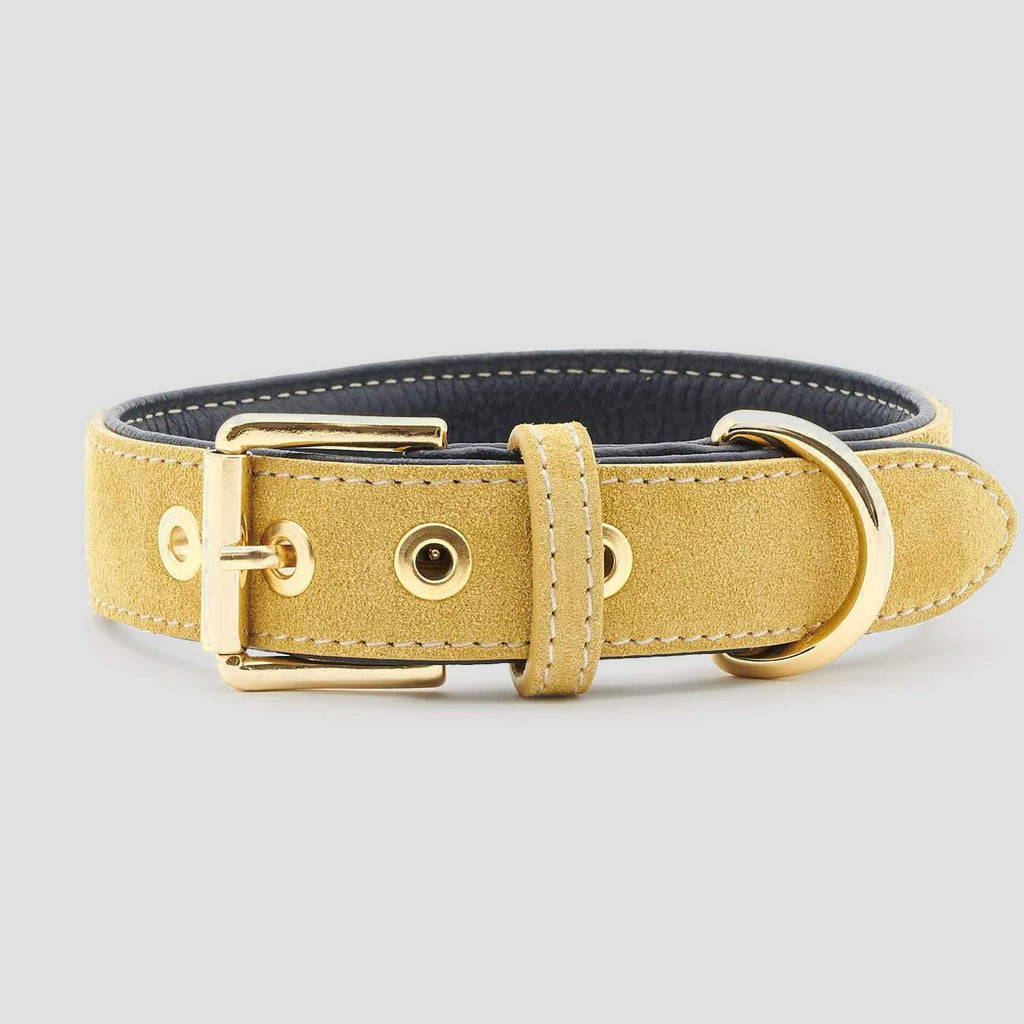 William Walker Leather Dog Collar - Midnight X Sun