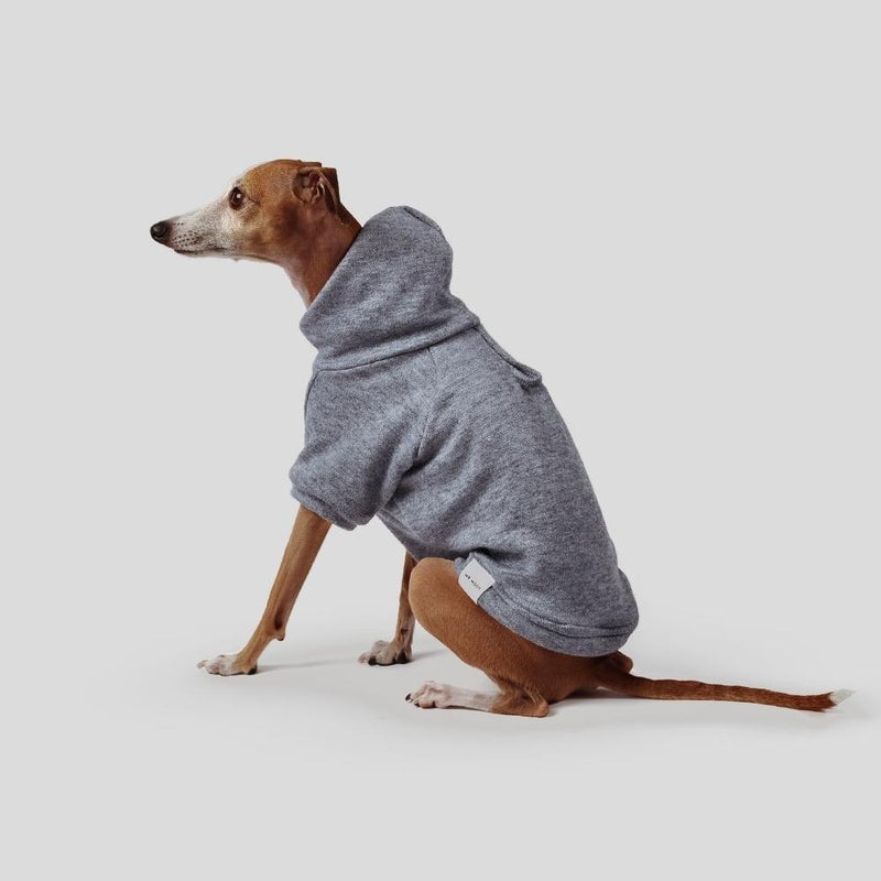Mister Woof Blue cotton jersey designer dog hoodie