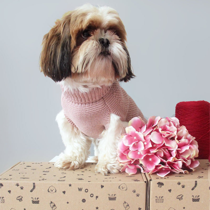 pink wool dog jumper