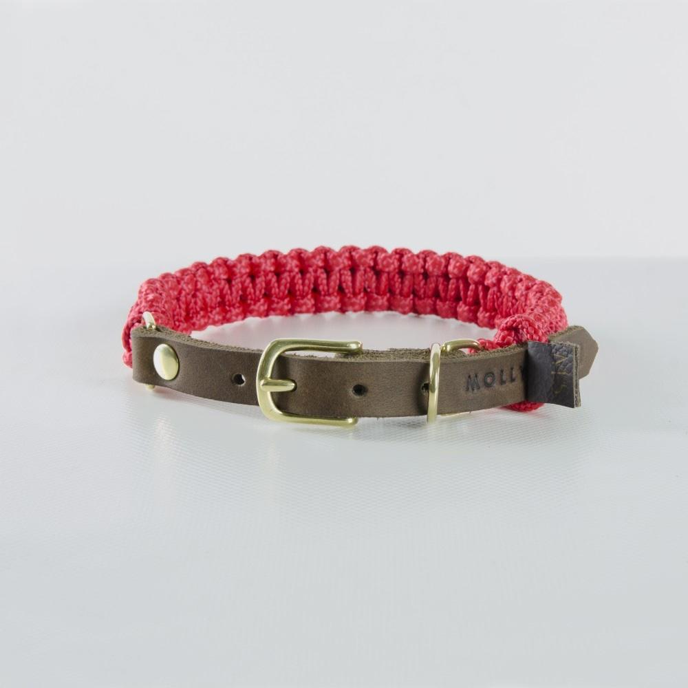 Molly & Stitch Touch of Leather Dog Collar