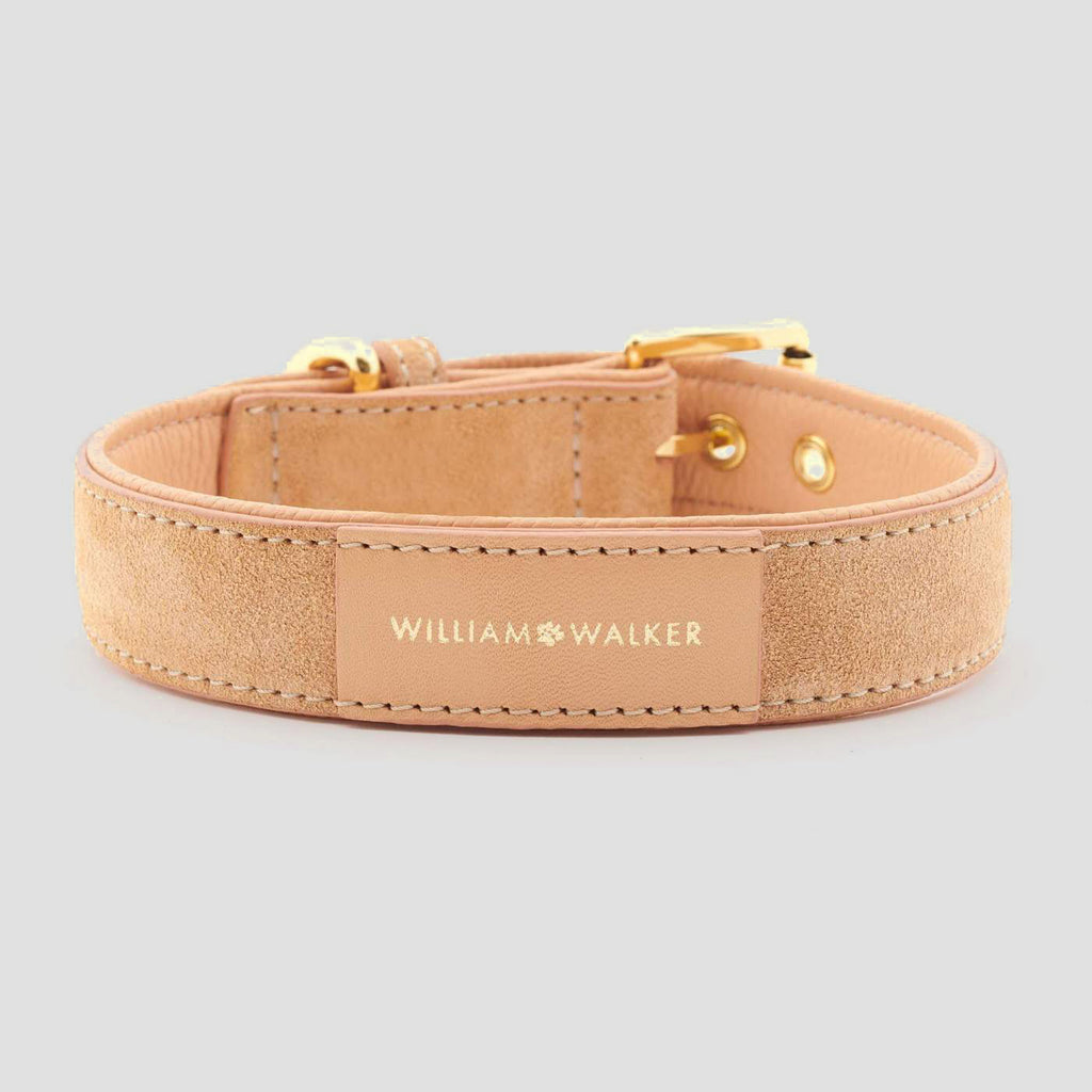 William Walker Leather Dog Collar - Coral