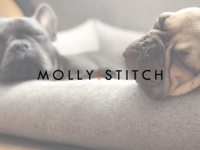 Molly & Stitch Designer dog beds and luxury dog accessories