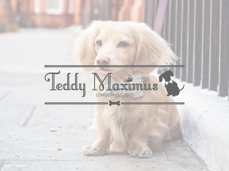 Teddy Maximus designer dog products