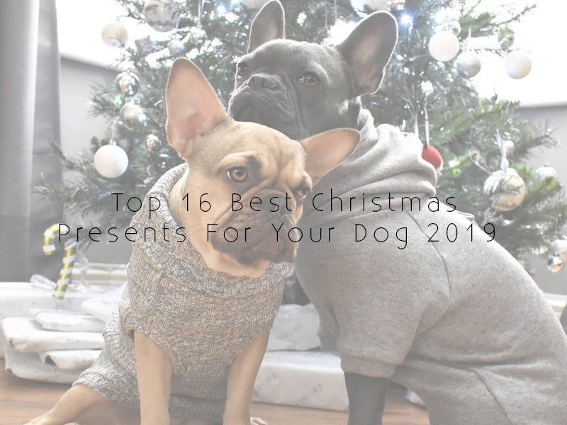 top Christmas presents for your dog 2019