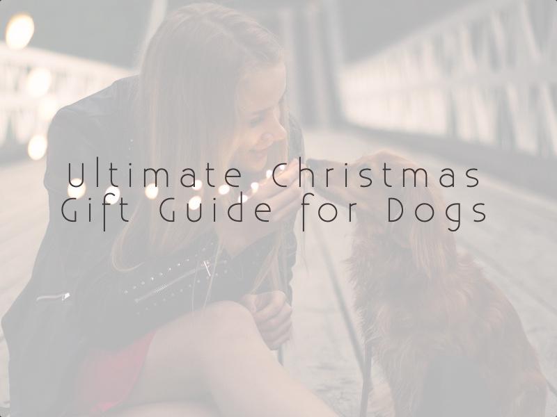 ultimate Christmas gift guide ideas for dogs 2018