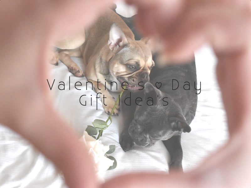 best gifts for dogs and dog lovers on valentines day