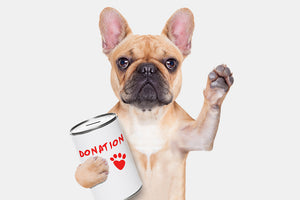 Dog Charity UK