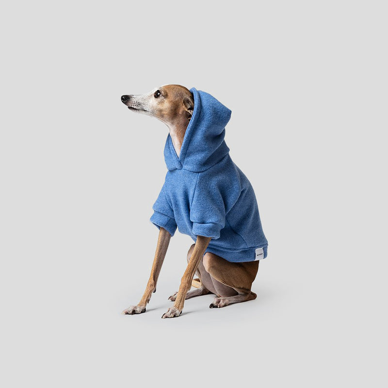 Blue dog hoodie