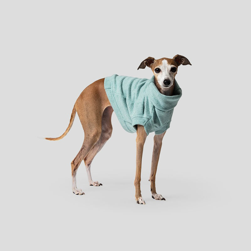 blue jumper for dogs and puppies