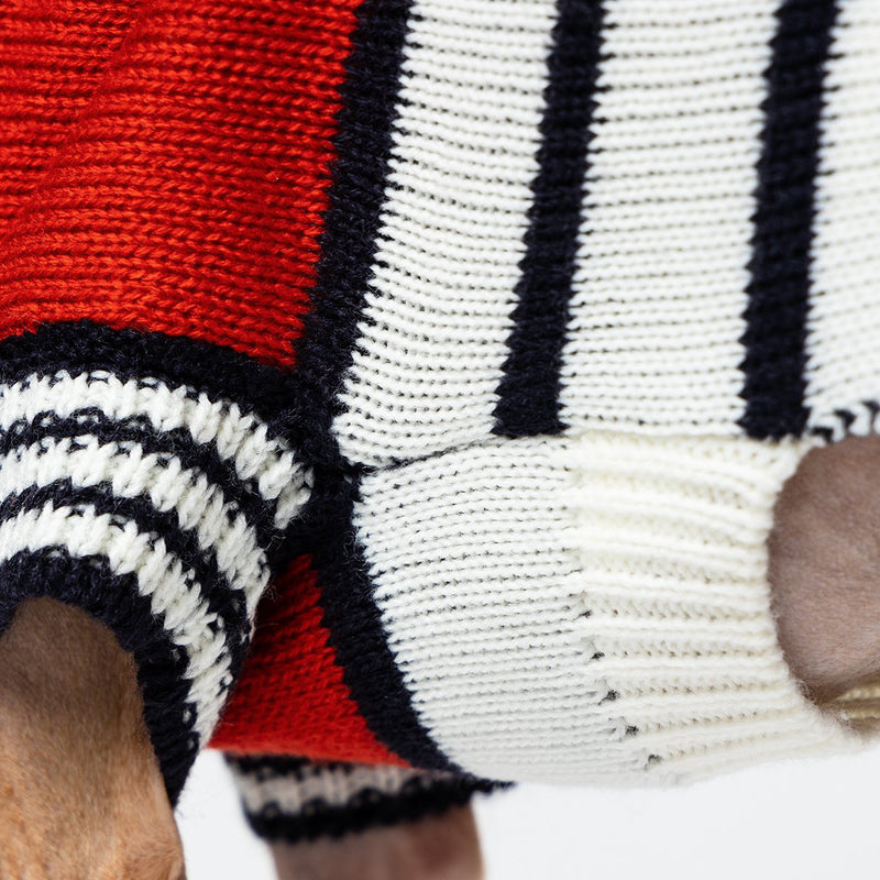Mister Woof Knitted dog jumper