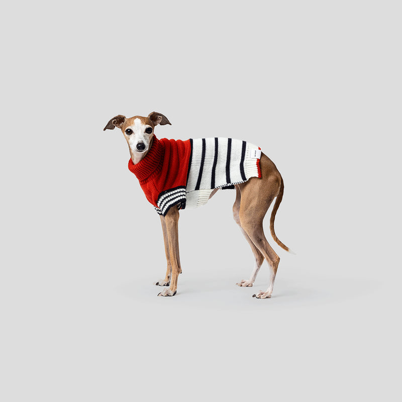 Designer dog jumper