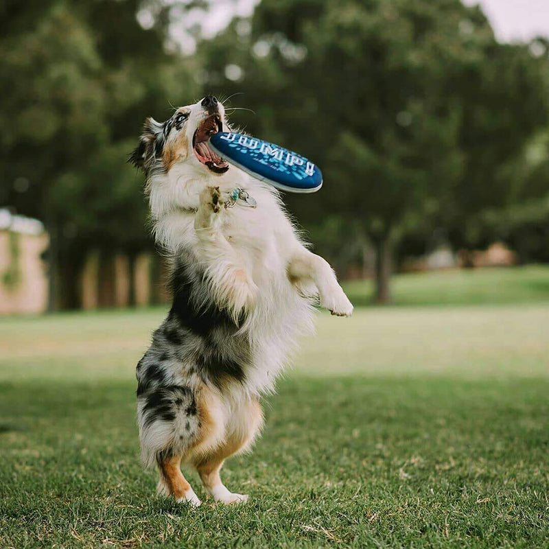 waterproof dog frisbee