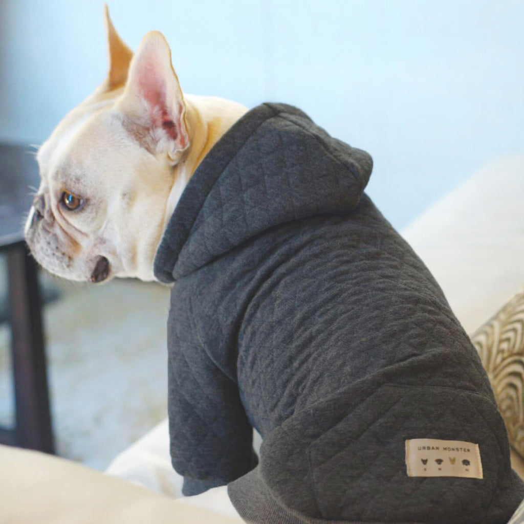 clothing designers for dogs