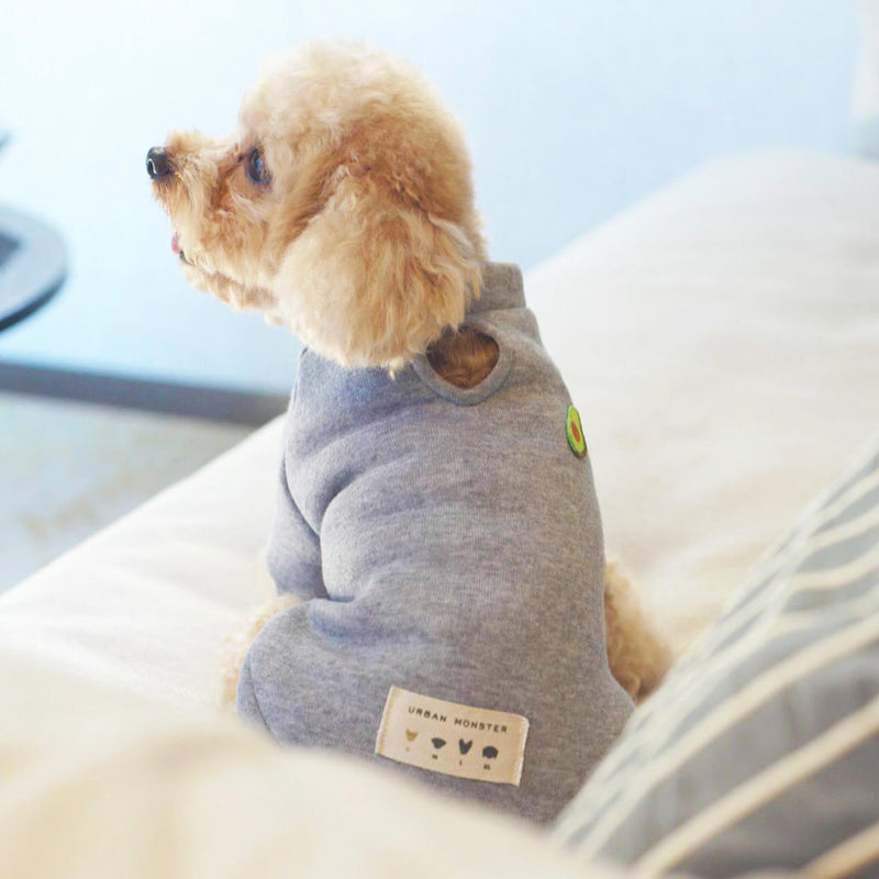 stylish winter jumper for small dogs