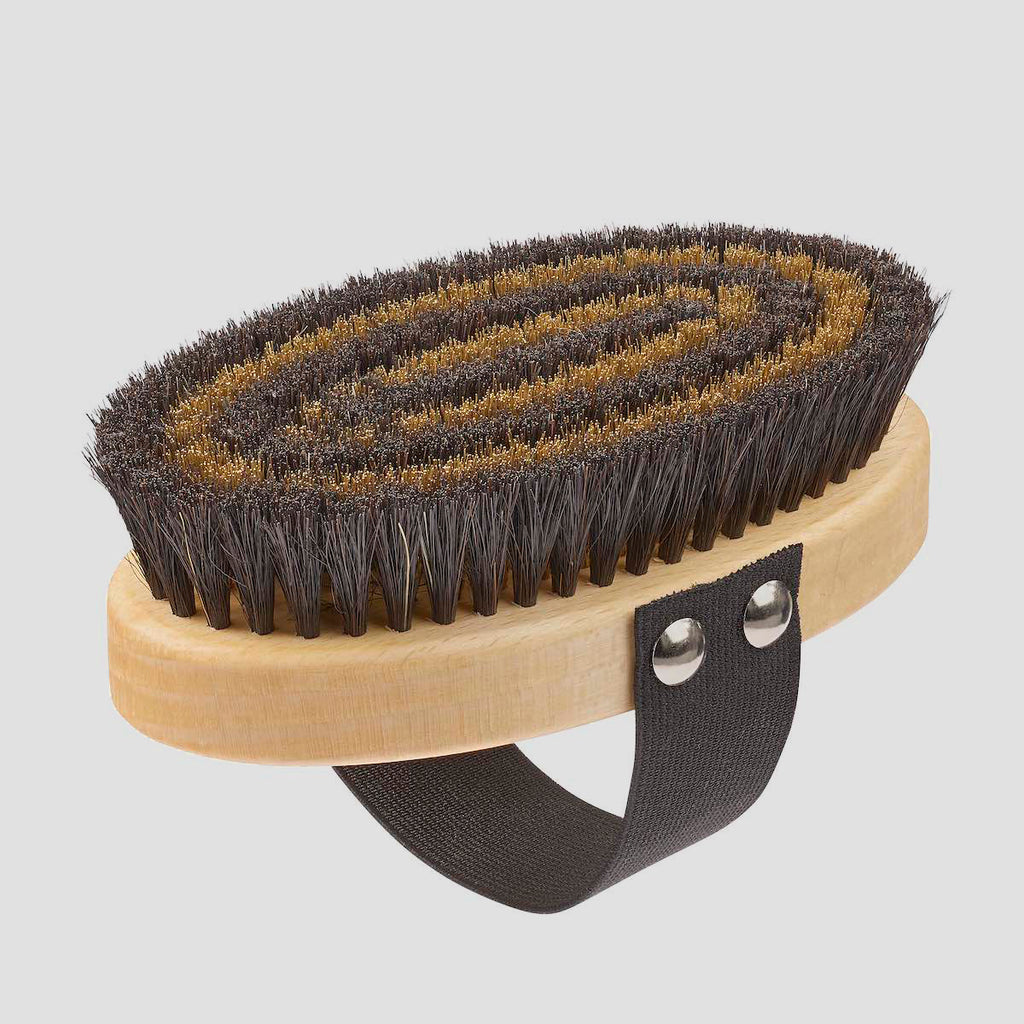 brush for dogs with short hair