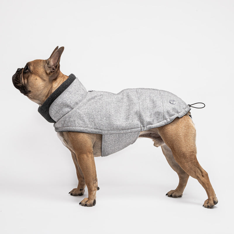 Cloud7 Brooklyn French Bulldog Flannel Grey Dog Coat