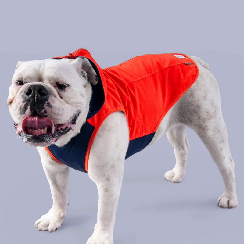 best winter dog coat for dogs