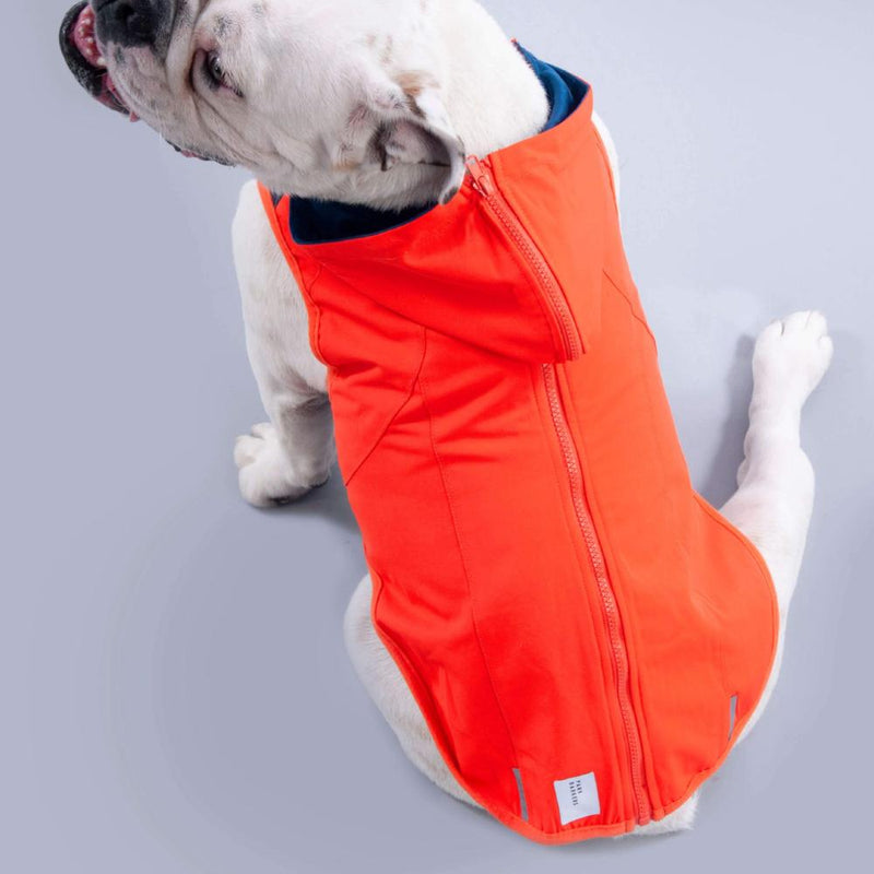 dog coat with reflective safety trim