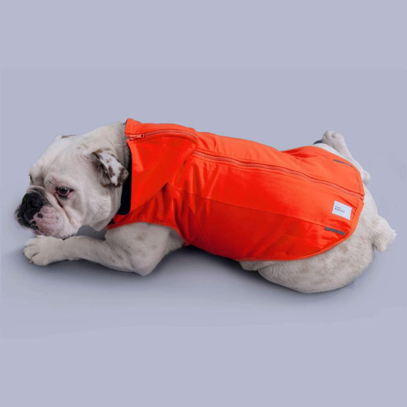 dog coat for large dogs
