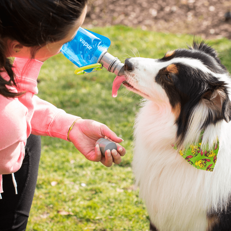 Easy drinking dog water bottle