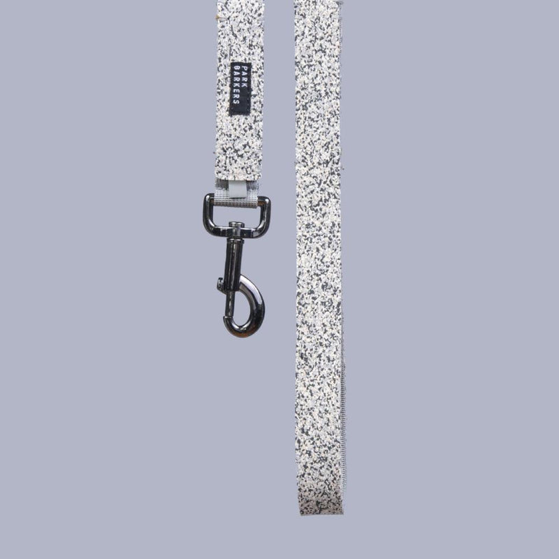 grey stone dog leash