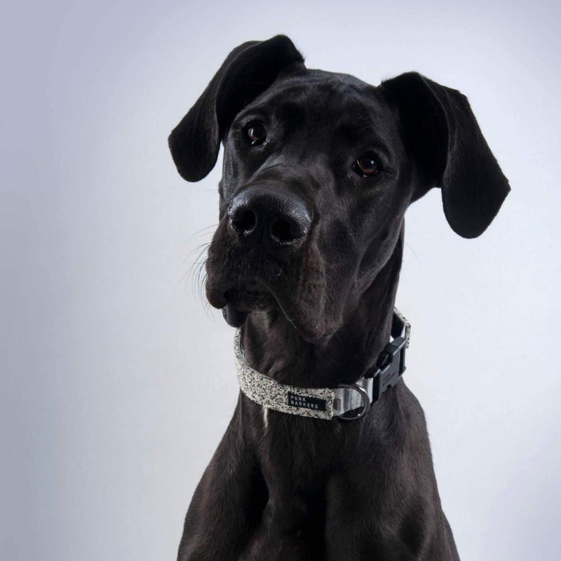 Designer grey dog collar