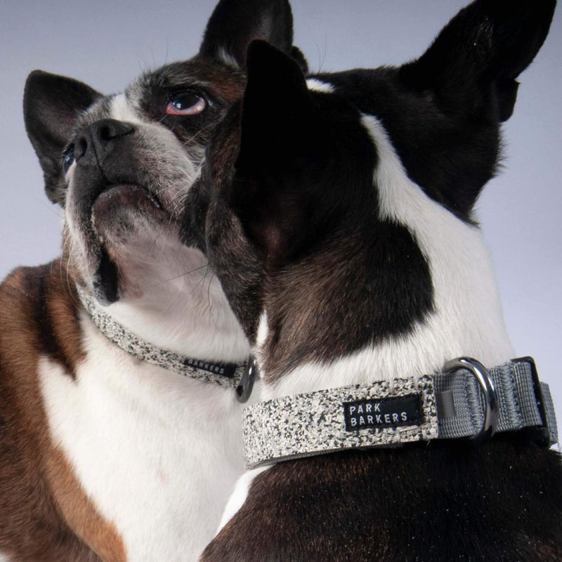 best dog collar for large breeds