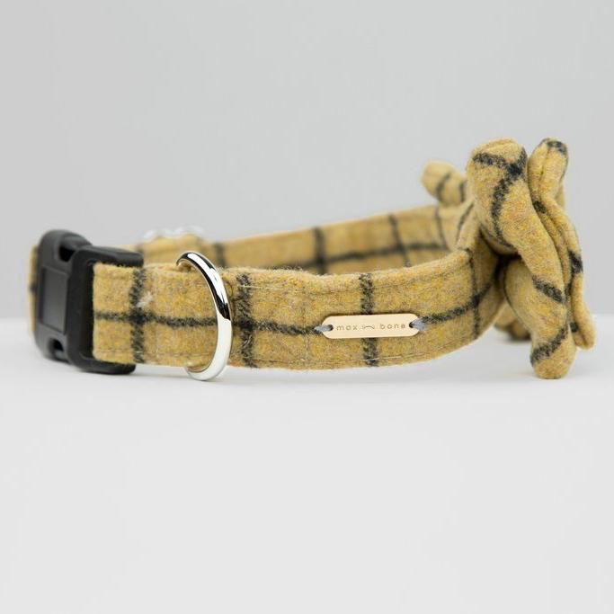 bow collar for dogs