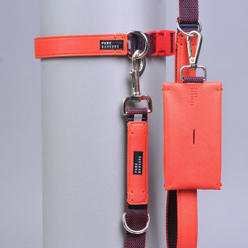 matching dog collar and lead with poop bag holder in red leather
