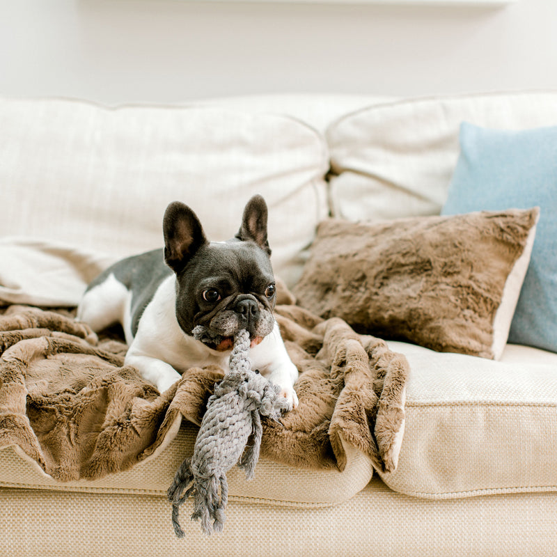 Pippa & Co Luxury Dog Blanket - Oatmeal