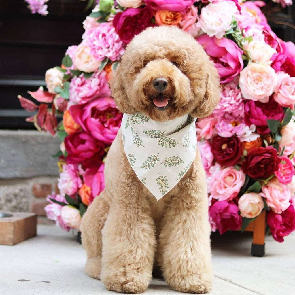 floral bandana for my dog