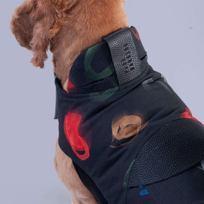 designer reversible dog jacket