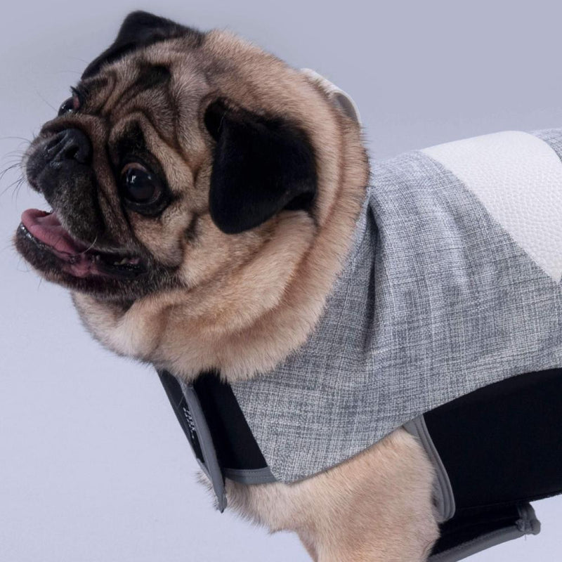 designer dog coat for pugs