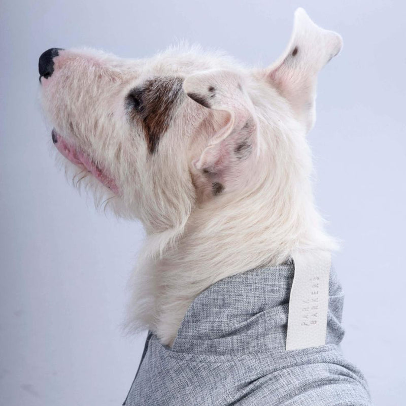 park barkers grey designer dog jacket