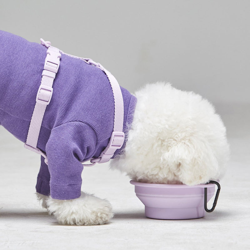 lavender travel dog bowl