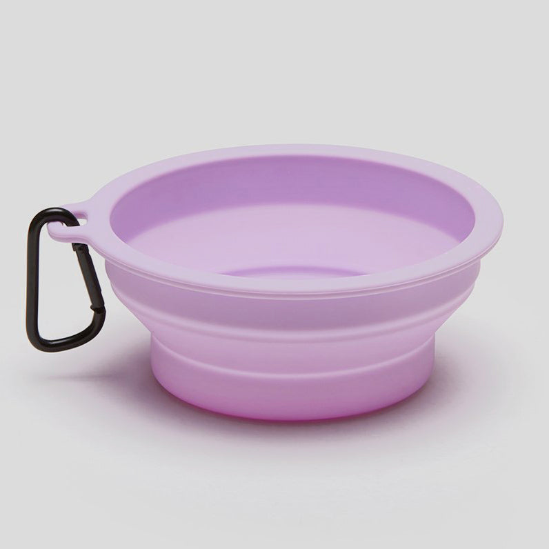 lavender travel dog bowl