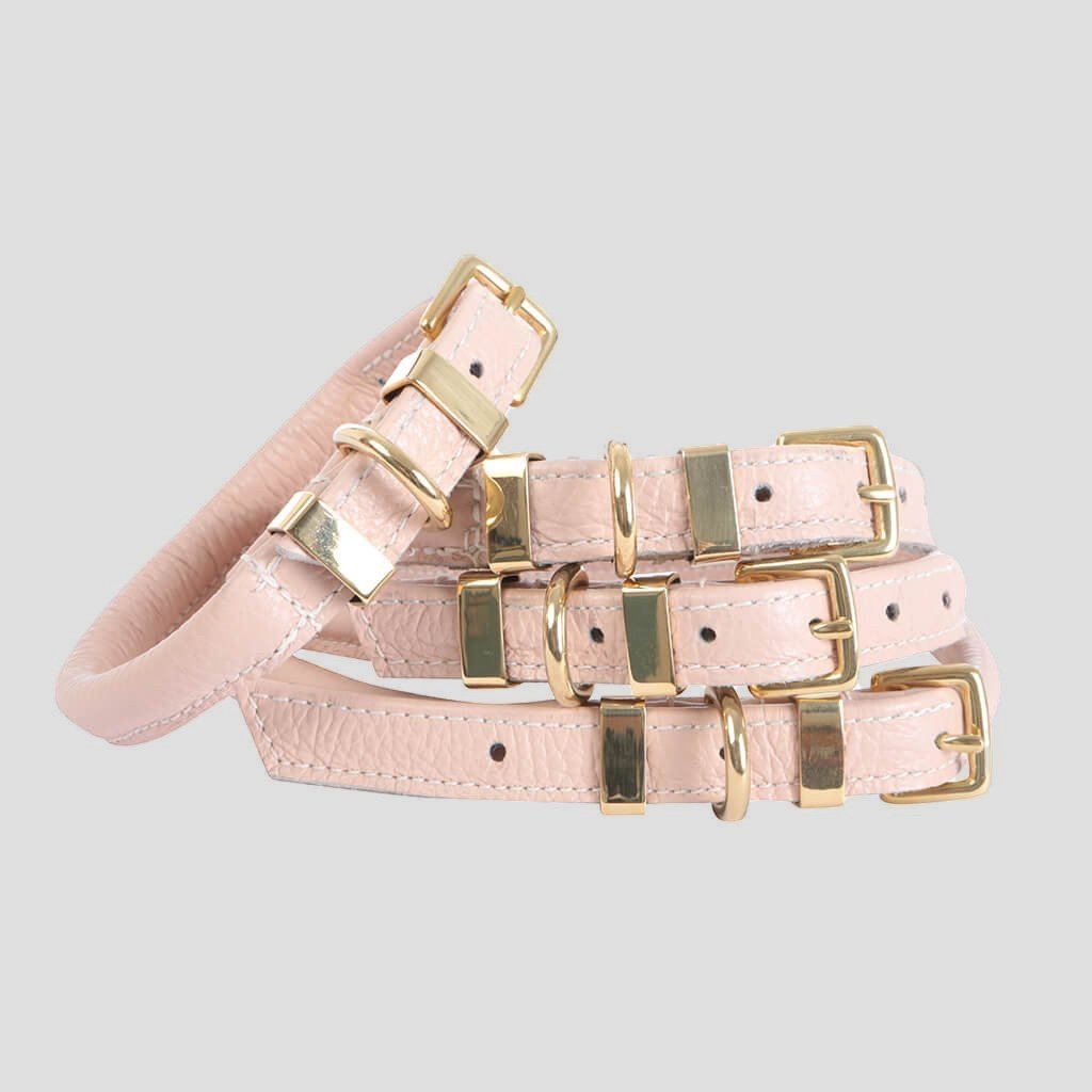 Teddy Maximus Pink Champagne Leather Dog Collar 