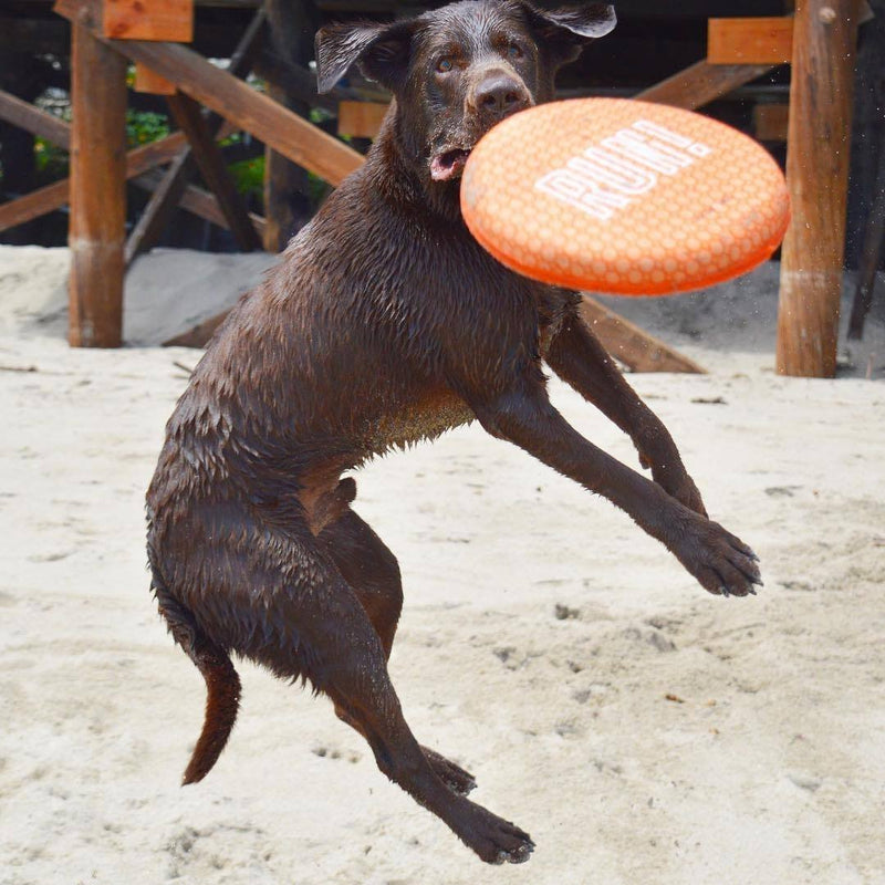 waterproof dog frisbee uk