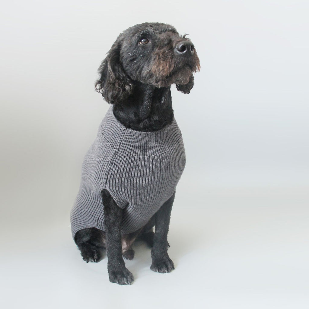 charcoal wool dog jumper